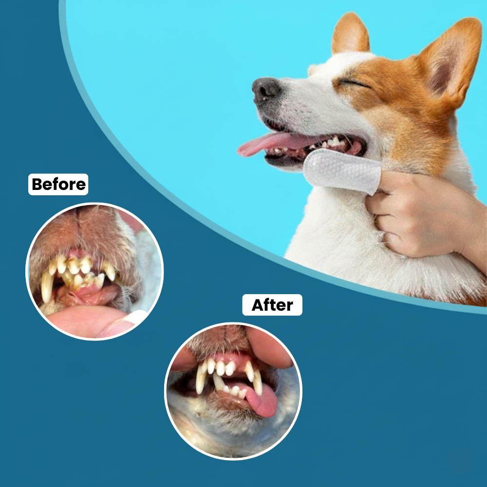 Finger Wipes for Pets