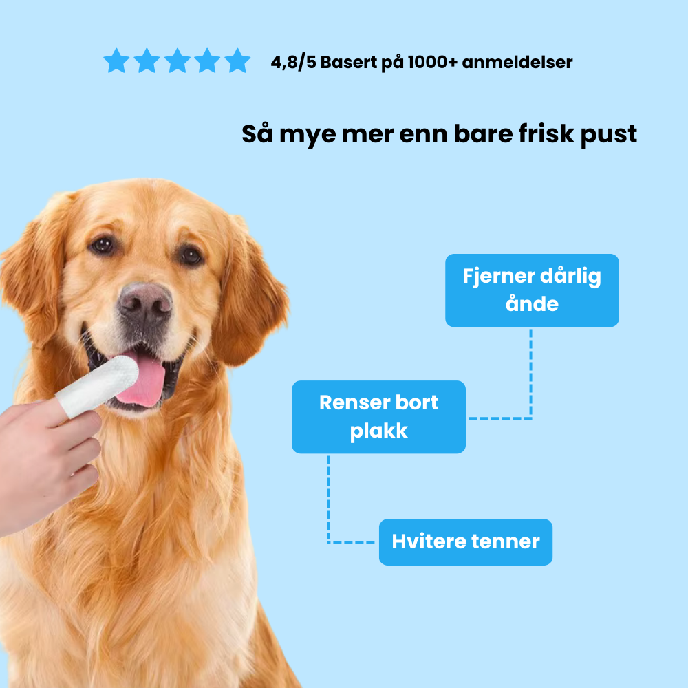 Fingerkluter for kjæledyr