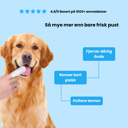 Fingerkluter for kjæledyr